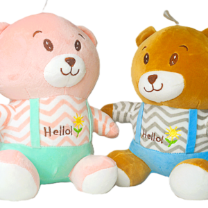 Cute Little Hello Teddy (25 CM)